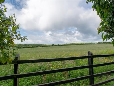 Picture 25
